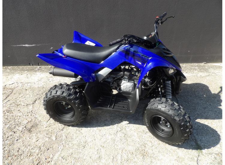 YAMAHA YFM 110 RAPTOR