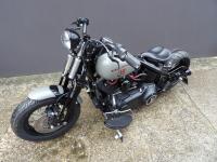 HARLEY-DAVIDSON SOFTAIL CROSS BONES 1584 CROSSBONES 1584 SPRINGER