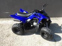 YAMAHA YFM RAPTOR 110