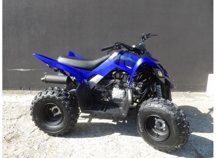 YAMAHA YFM RAPTOR 110