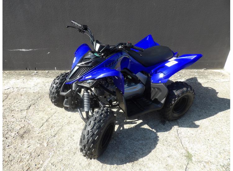 YAMAHA YFM RAPTOR 110