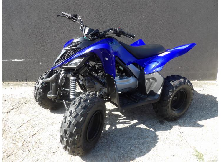YAMAHA YFM RAPTOR 110
